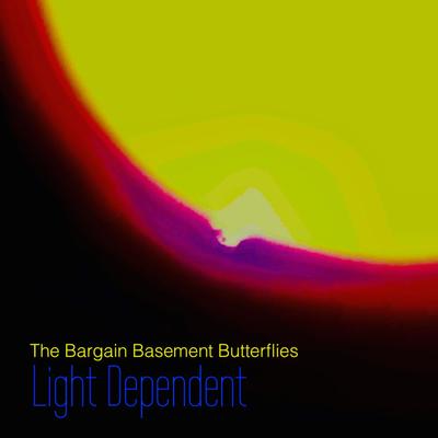 The Bargain Basement Butterflies's cover