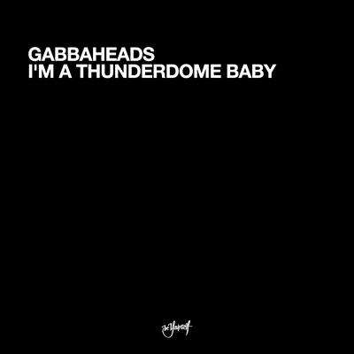 I'm A Thunderdome Baby's cover