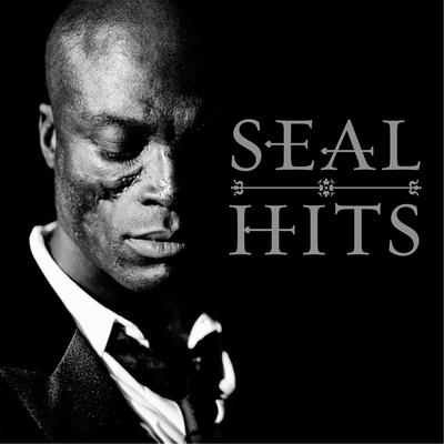 I Am Your Man By Seal's cover