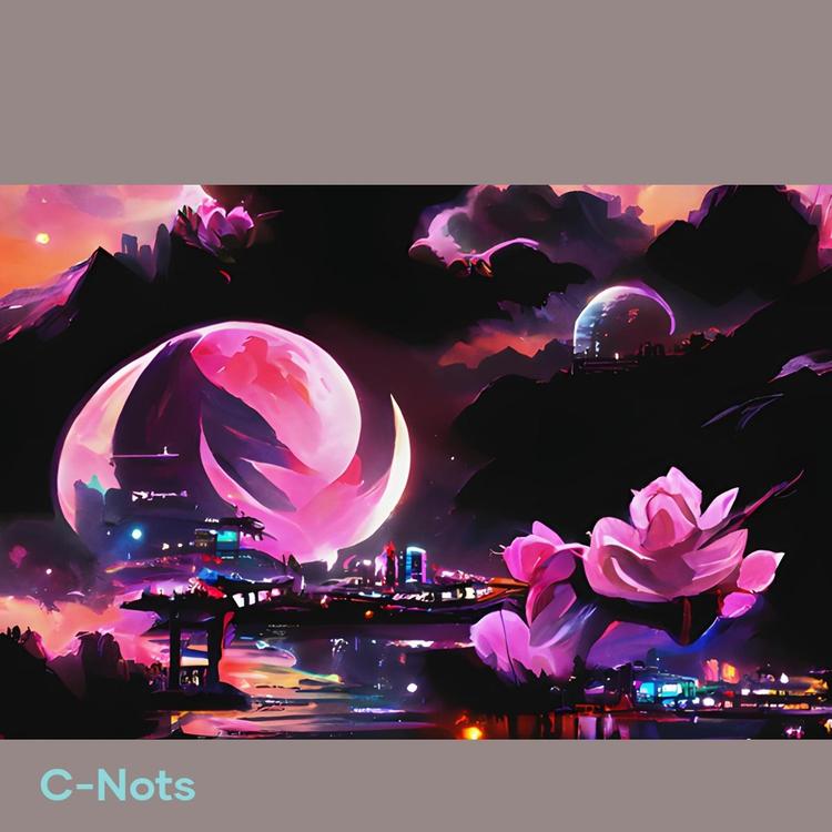 C-NOTS's avatar image