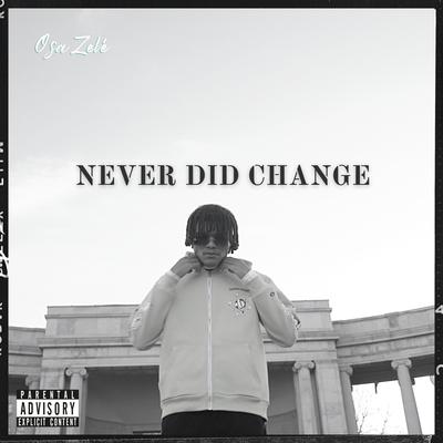 Never Did Change By Osa Zelé's cover