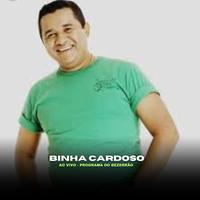 Binha Cardoso's avatar cover