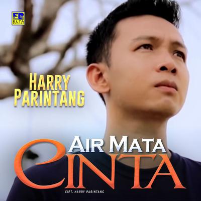 Air Mata Cinta By Harry Parintang's cover