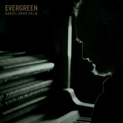 Evergreen By Daniel Bror Palm's cover