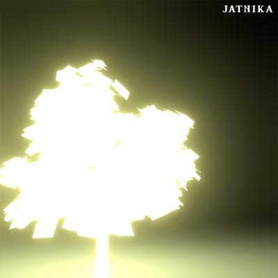 Jatnika's cover