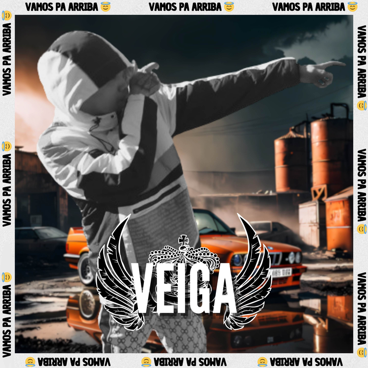 VEIGA's avatar image