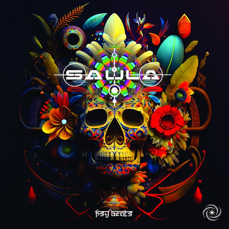 Saula's avatar image