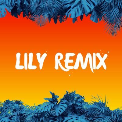 DJ Im Lady Mashup Remix Full Beat INSTR's cover
