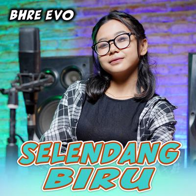 BHRE EVO's cover