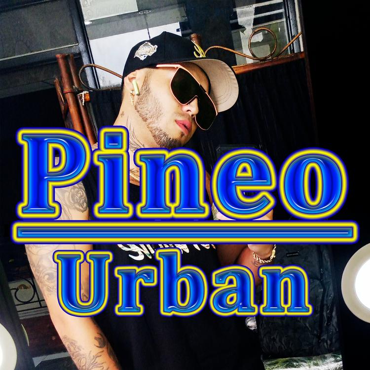 Pineo Urban's avatar image