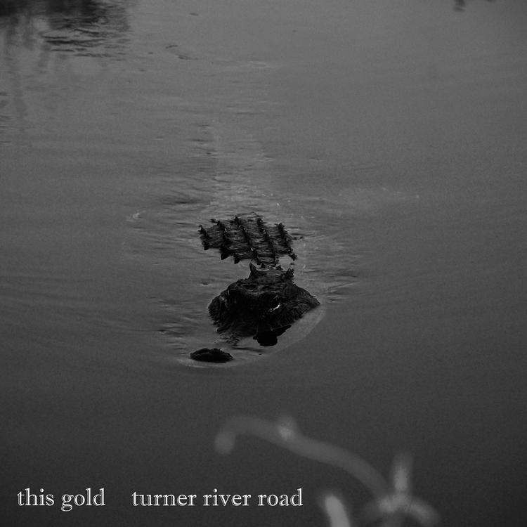 Turner River Road's avatar image