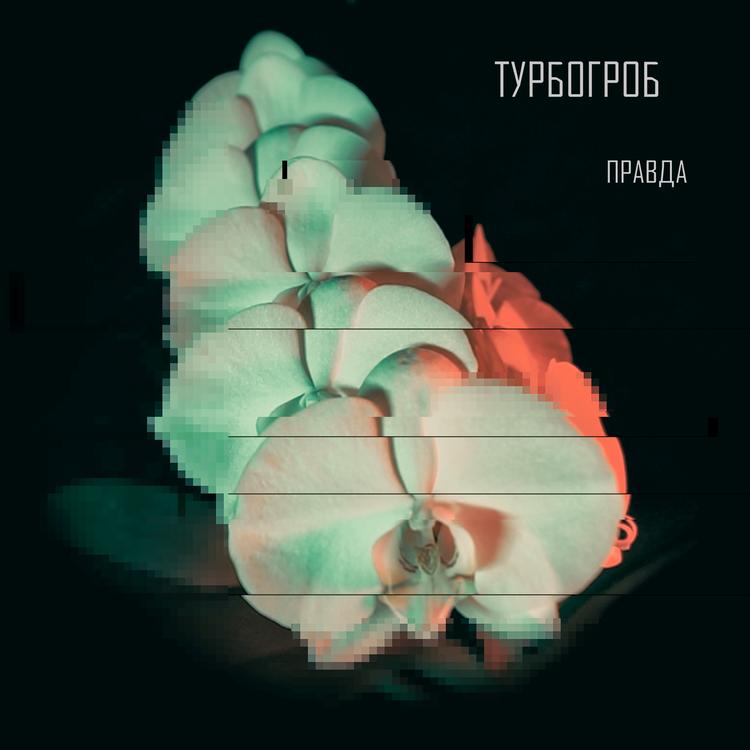Турбогроб's avatar image