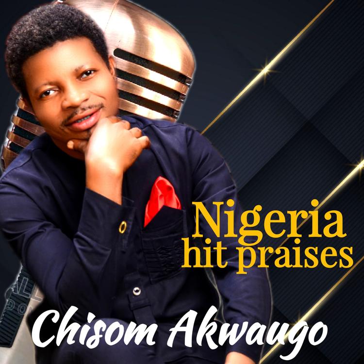 Chisom Akwauyo's avatar image