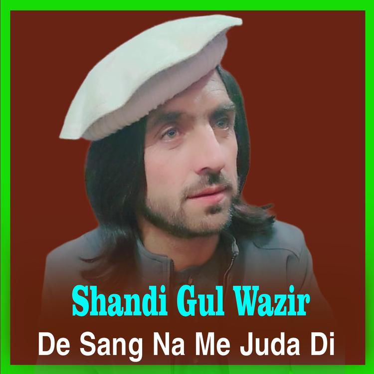 Shandi Gul Wazir's avatar image