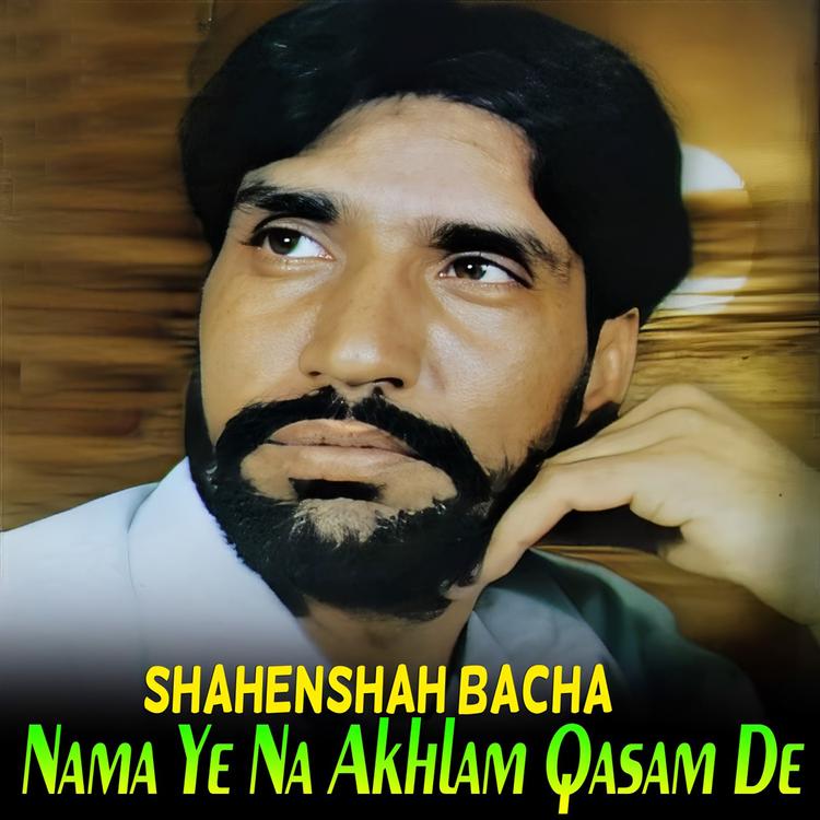 Shahenshah Bacha's avatar image