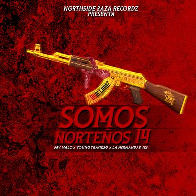 Somos Norteños 14's cover