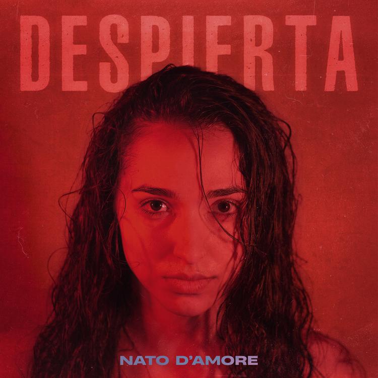 Nato D'Amore's avatar image