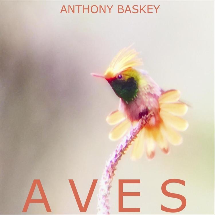 Anthony Baskey's avatar image