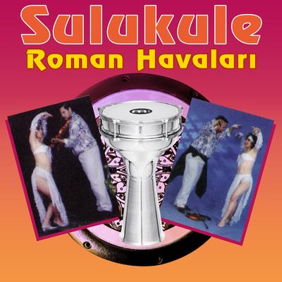 Sulukule Roman Havaları's cover