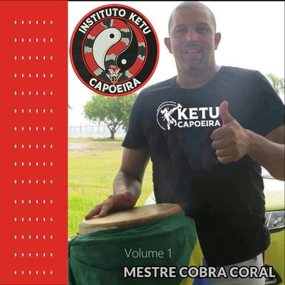 Momentos revelados By Mestre Cobra Coral's cover