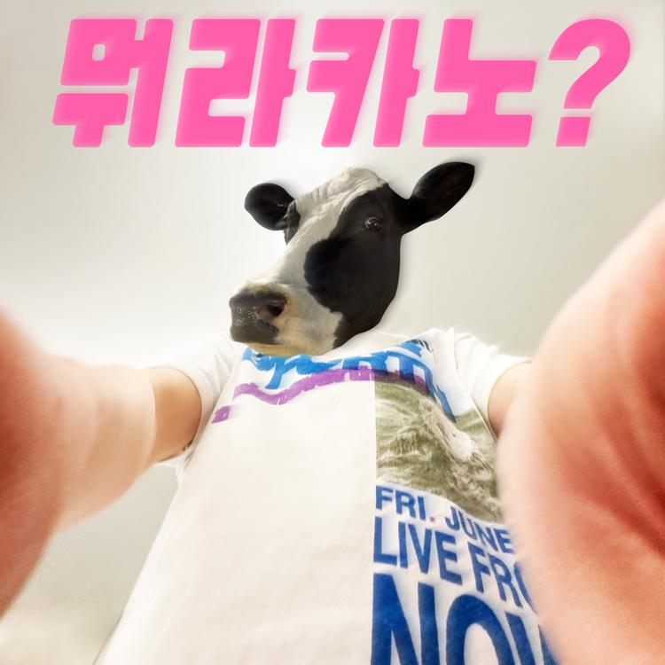 STONE COLD COW's avatar image