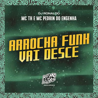 Arrocha Funk Vai Desce By Mc Th, Mc Pedrin do Engenha, DJ Ronaldo's cover