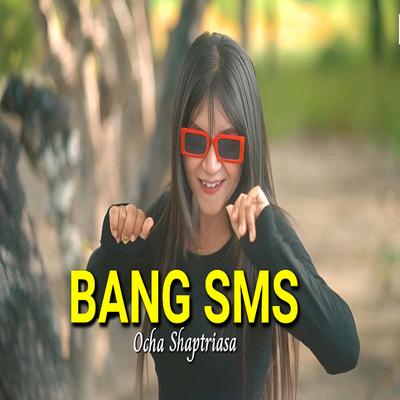 Bang Sms's cover