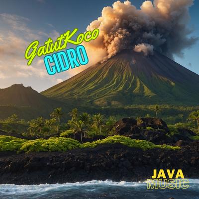 Java music's cover