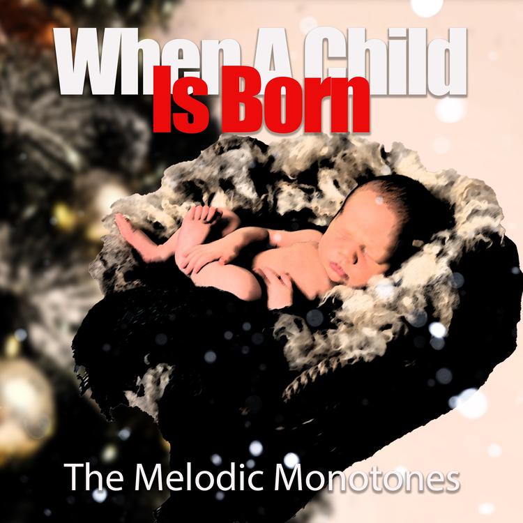 The Melodic Monotones's avatar image