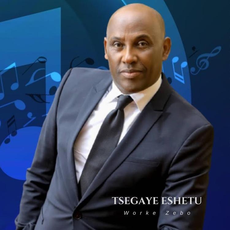 Tsegaye Eshetu's avatar image
