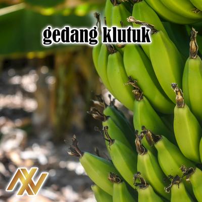 DJ Gedang Klutuk x mashup's cover