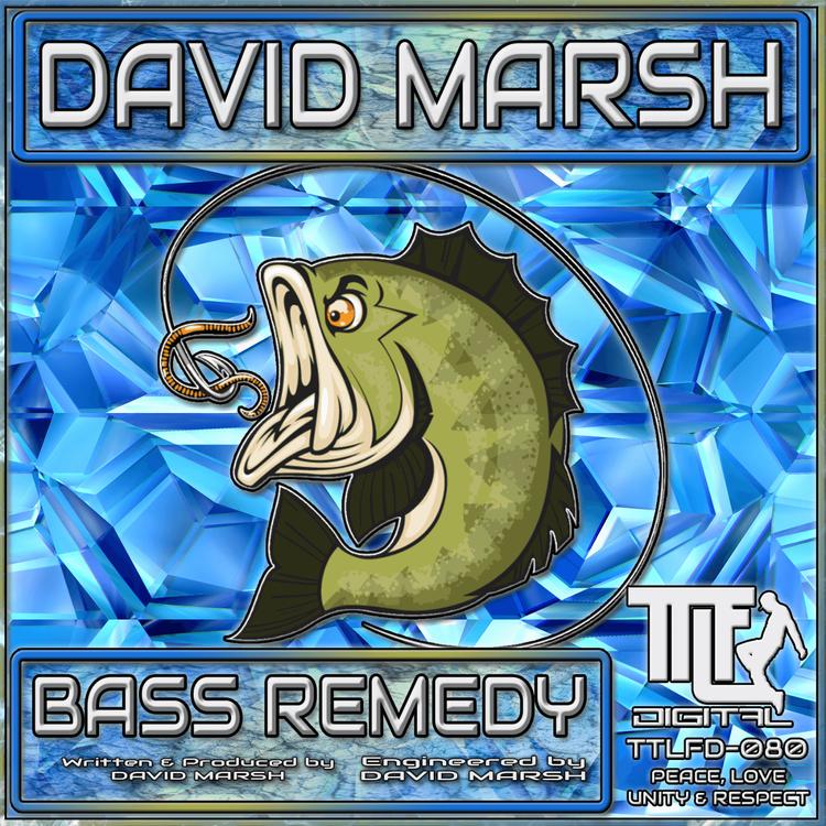 David Marsh's avatar image