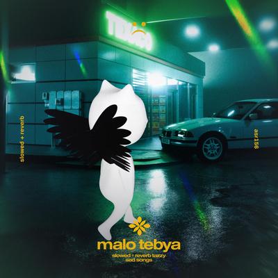 malo tebya - slowed + reverb's cover