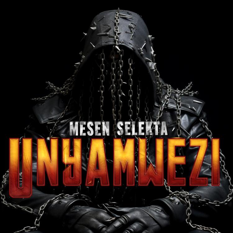 Mesen Selekta's avatar image