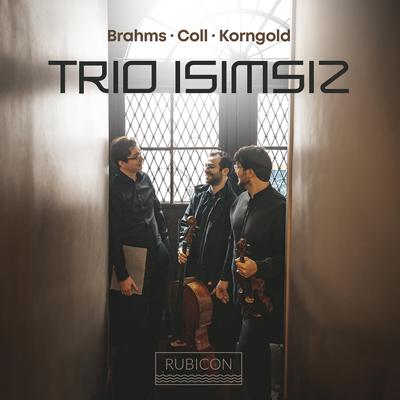 Piano Trio No. 2 in C Major, Op. 87: I. Allegro By Trio Isimsiz's cover