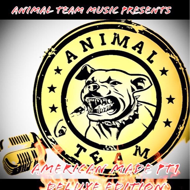 Animal team music's avatar image