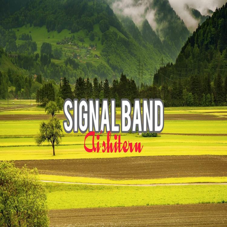Signal Band's avatar image