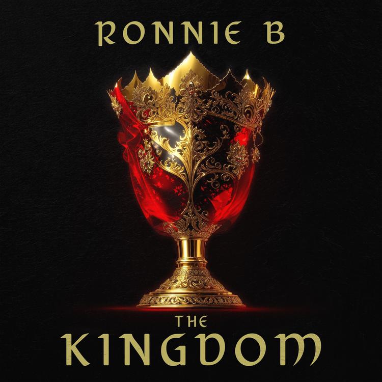 Ronnie B's avatar image