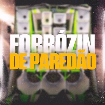 Forrózin de Paredão By JM Remix's cover