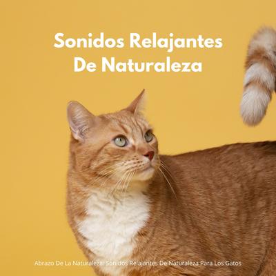 Abrazo De La Naturaleza: Sonidos Relajantes De Naturaleza Para Los Gatos's cover