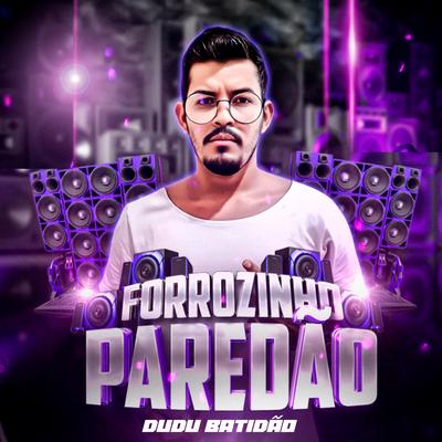 Forrozinho Dust In The Wind By Dudu Batidão's cover
