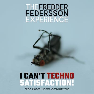 The Fredder Federsson Experience's cover