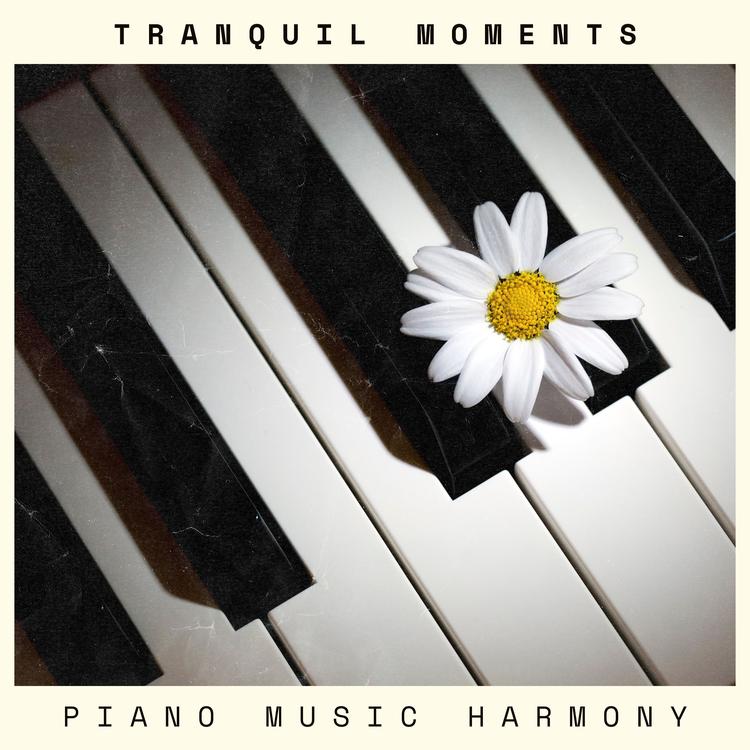 Piano Music Harmony's avatar image