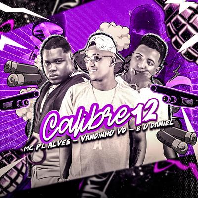 Calibre 12's cover