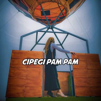 DJ Cipegi Pam Pam's cover