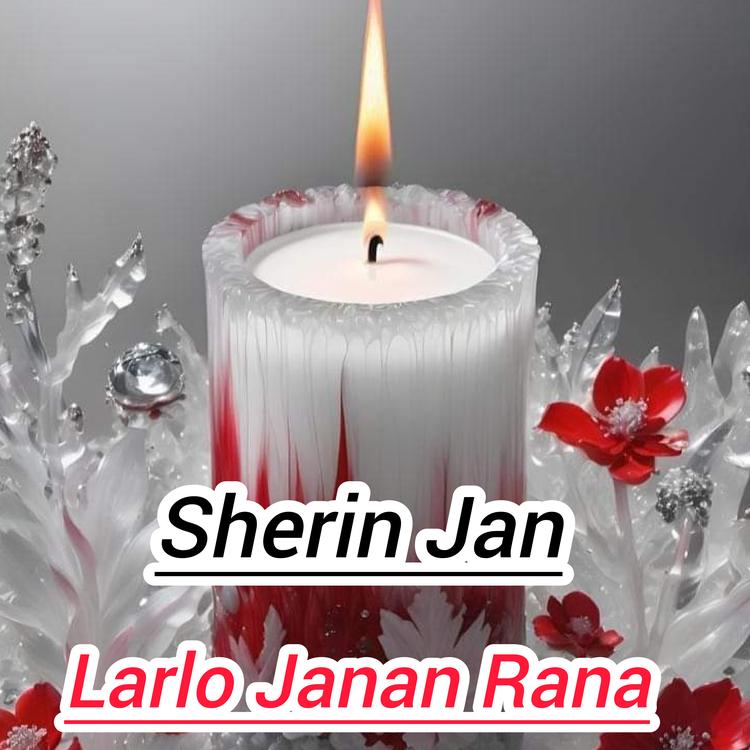 Sherin Jan's avatar image