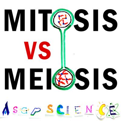 Mitosis vs Meiosis Rap Battle's cover