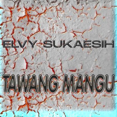 Tawang Mangu's cover