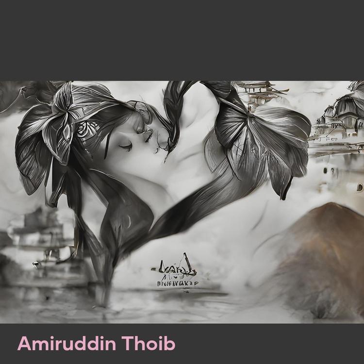 Amiruddin Thoib's avatar image