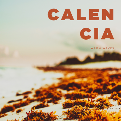 Calen Cia's cover